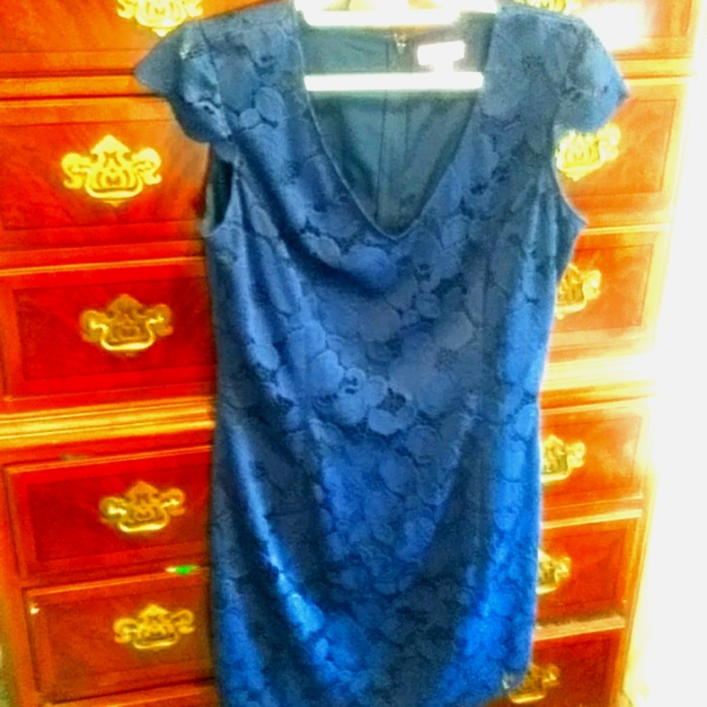 Lilly Pulitzer Dixie Lace Drsss